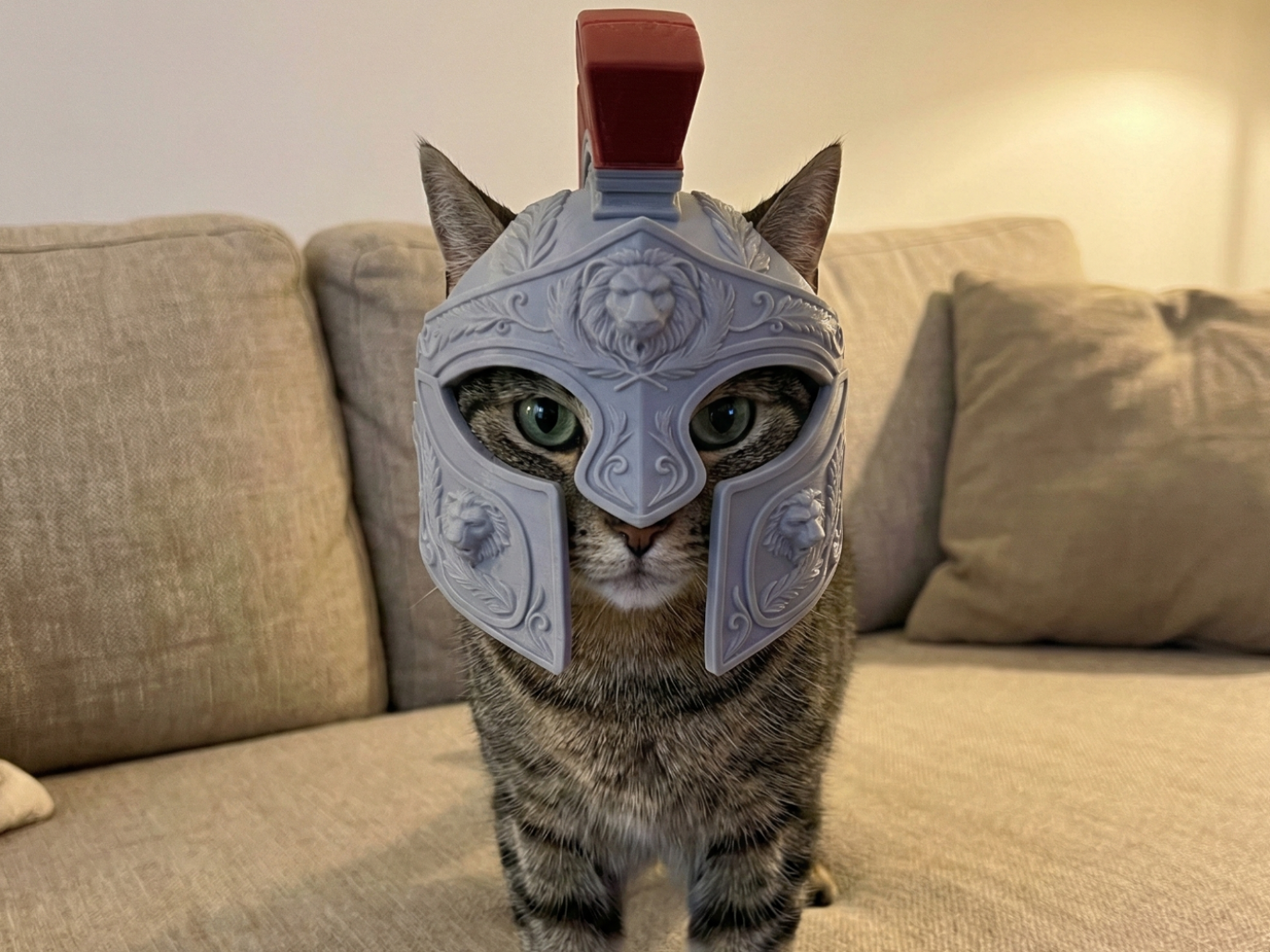 Casco Centurión Romano para tu Gato!